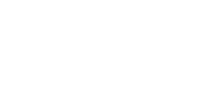 Van & Panich LLC